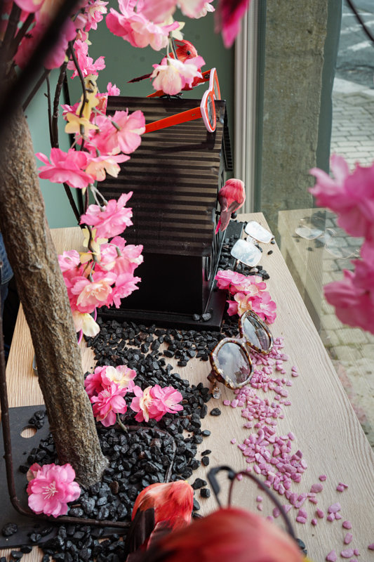 cecile-optique-inauguration-juin-20228